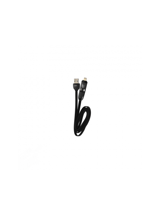 Linx Gaia USB charger (2-in-1 dual connectors)