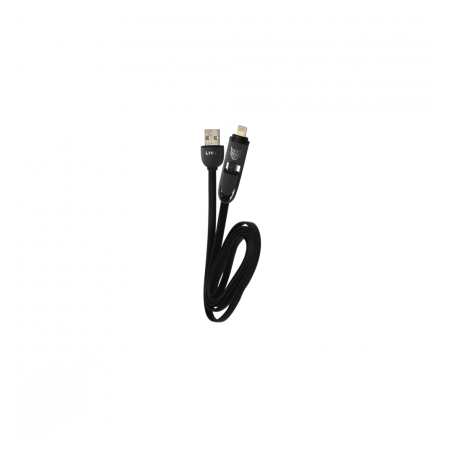 Linx Gaia USB charger (2-in-1 dual connectors)