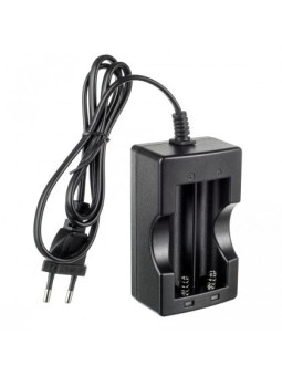 Incarcator dual Arizer Air