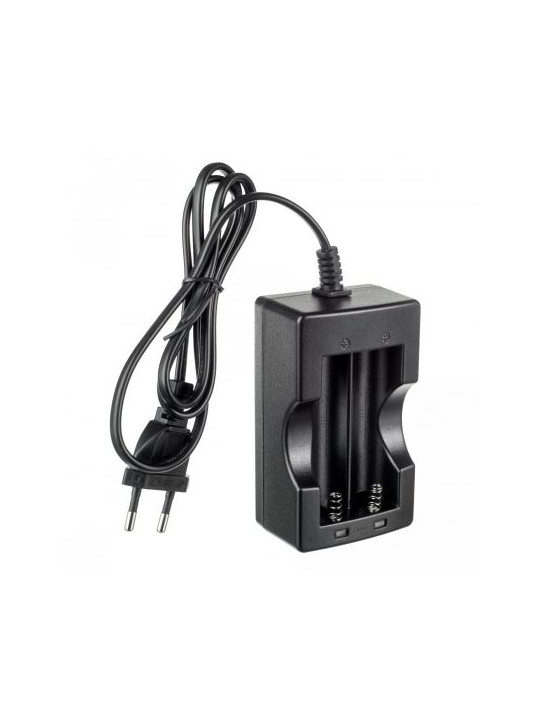 Incarcator dual Arizer Air
