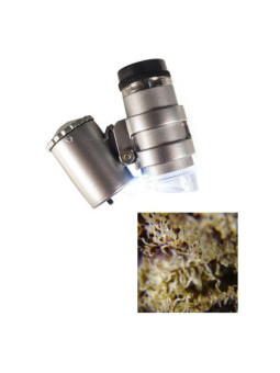 LED Microscope 45X