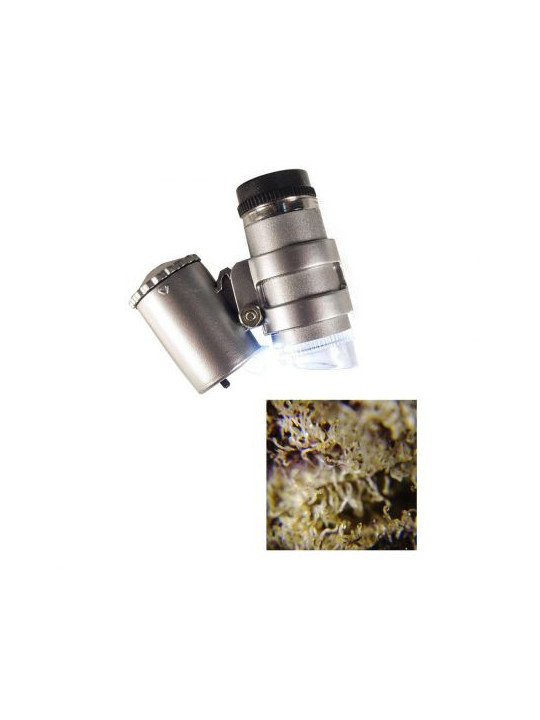 LED Microscope 45X