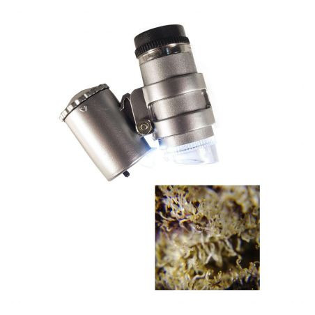 LED Microscope 45X