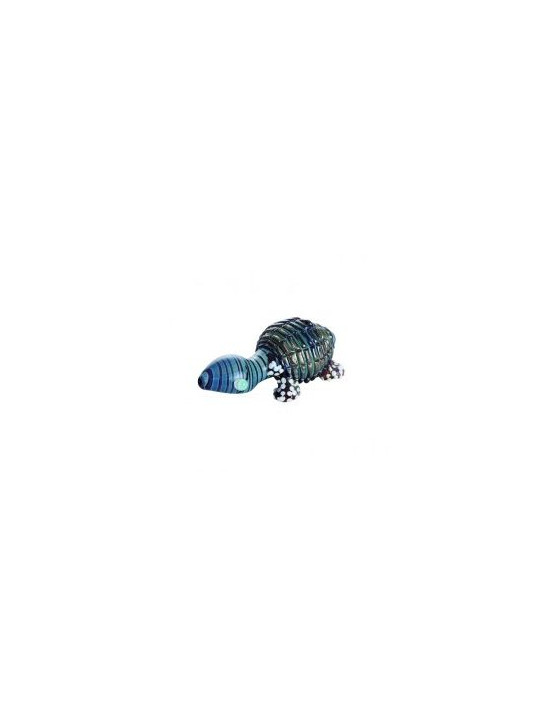 Pipa Turtle