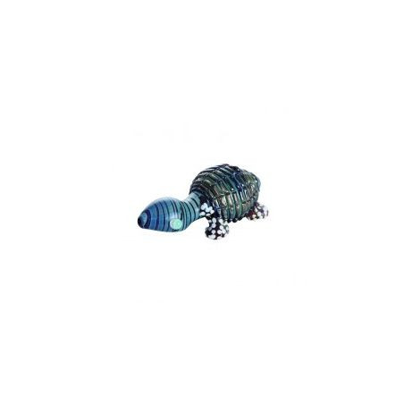 Pipa Turtle