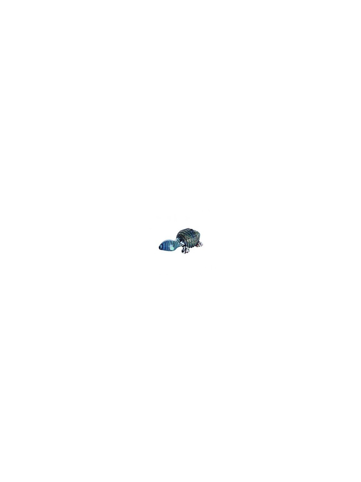Pipa Turtle