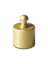 Standard Weight 100g