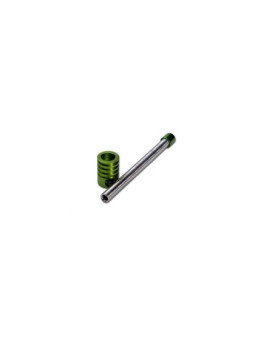 Pipa 'Twister' Spring M