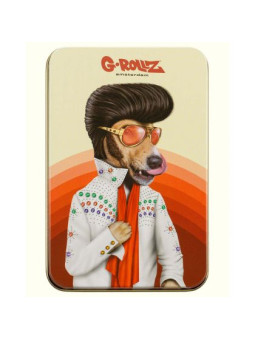 Cutie Depozitare G-Rollz Pets Rock Large