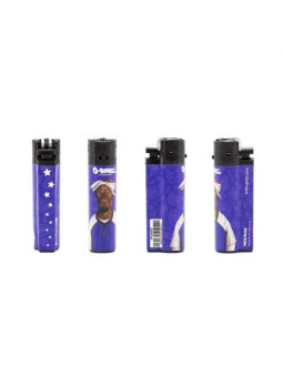 Brichete G-Rollz Pets Rock 2