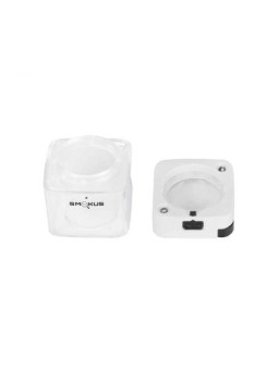 Stash 'Smokus Focus' - Comet Infinity White