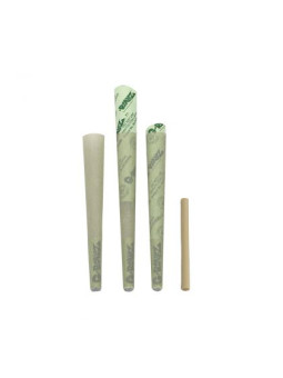 Conuri x 25 '1¼' G-Rollz Cheech & Chong(TM) - Organic Green Hemp