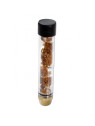 Blunt 'V12' 'Twisty' Quartz