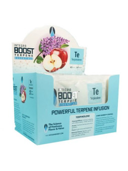 Impuls de Umiditate 'Integra' Terpinolene 62% 67g x1buc