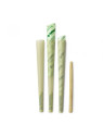 Conuri Prerulate G-Rollz 'Colossal Dream' KS Canepa Organica x20
