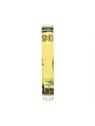Pipa din sticla Hemper - One Hitter Dollar 8cm