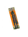 Foite Blunt Lion RollingCircus Canepa - Terpeni Tangie x2