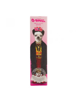 Foite G-Rollz 'Mexico' KSS Roz