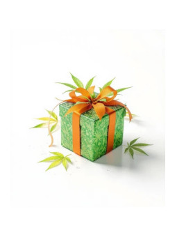 Mistery 420 Box