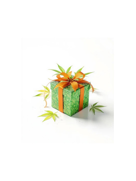 Mistery 420 Box