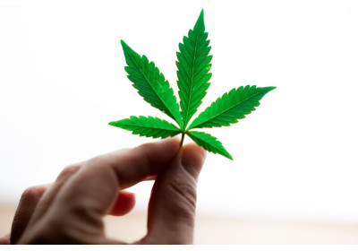 CBD și schizofrenia - ce efecte poate avea