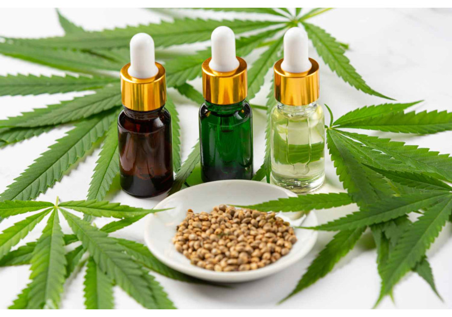 Terpeni CBD: Cum funcționează terpenii naturali și efectele lor