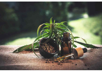 CBD - poate să influențeze un test antidrog? Factori de risc, tipuri de produse și recomandări pentru siguranță