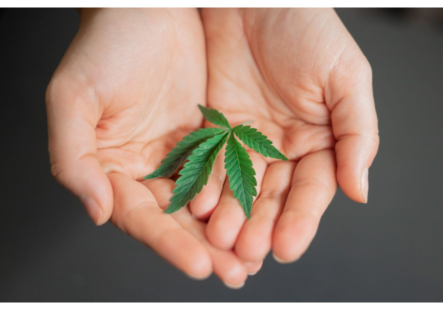 Care sunt beneficiile CBD-ului ozonat
